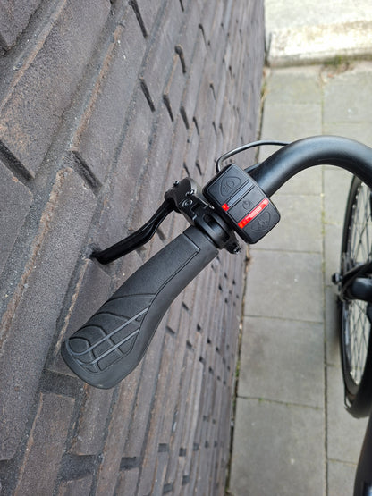 Stella Livorno Frost Blue FDST (53)