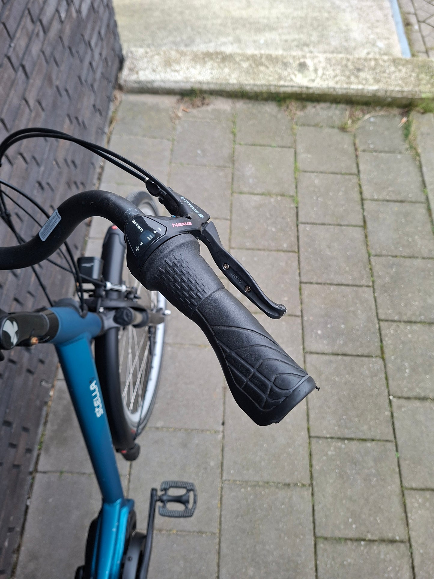 Stella Livorno Easy MDS (46)