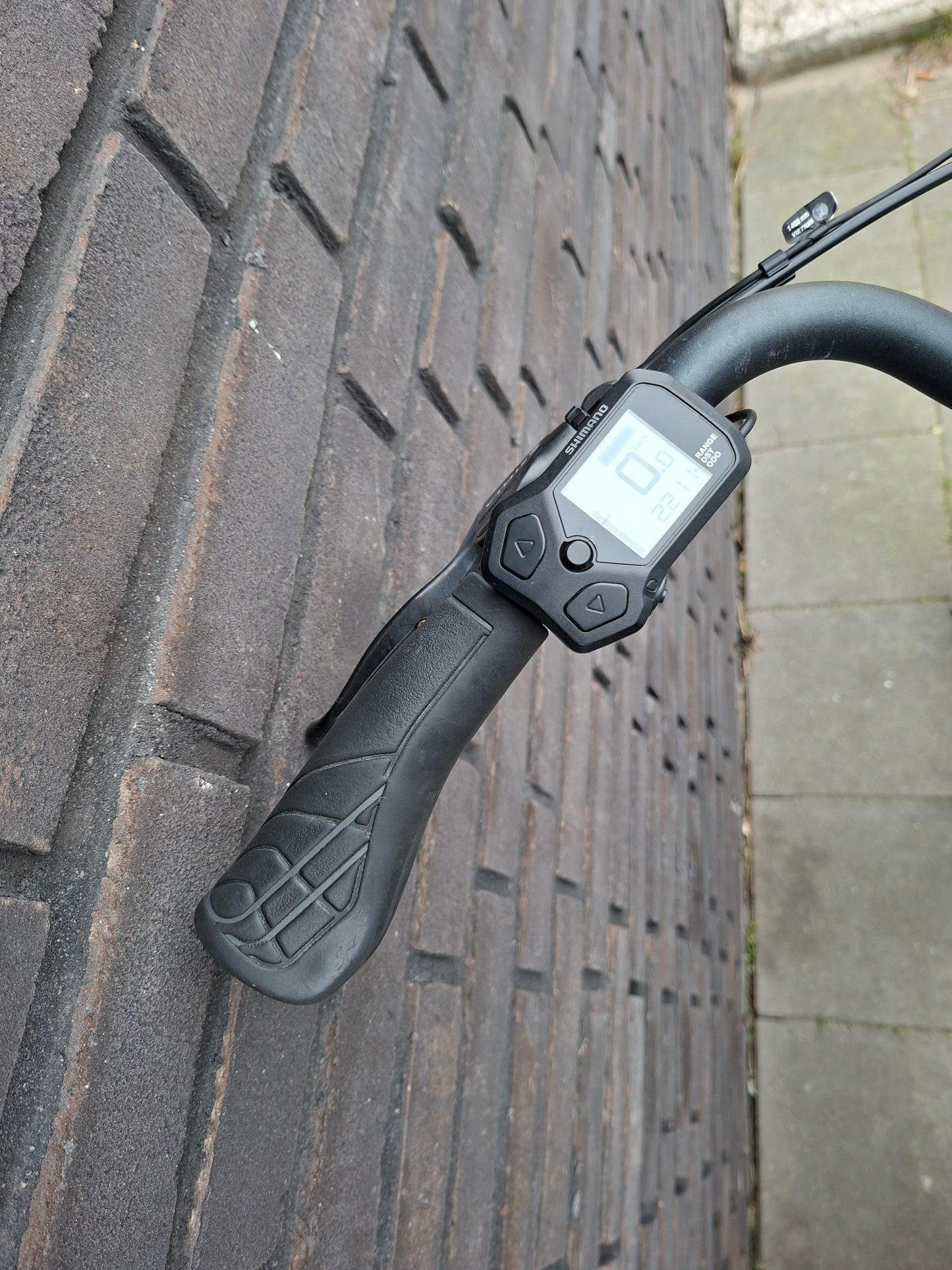 Stella Livorno Easy MDS (46)