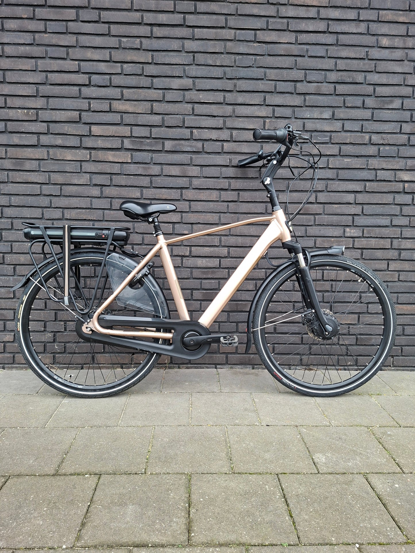 Stella Livorno Gold FDST (53)