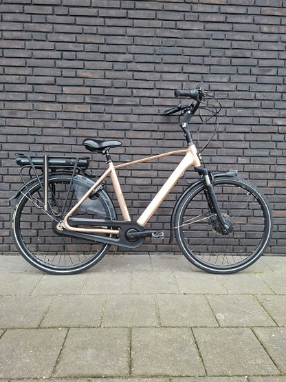 Stella Livorno Gold FDST (53)