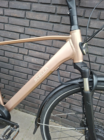 Stella Livorno Gold FDST (53)