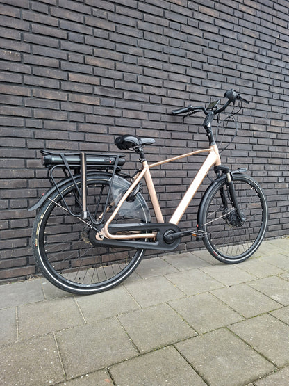 Stella Livorno Gold FDST (53)