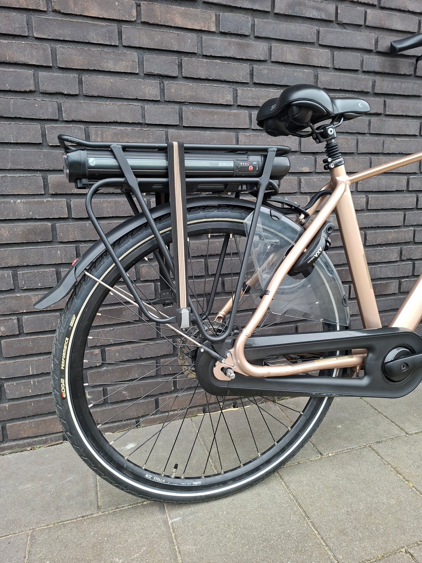 Stella Livorno Gold FDST (53)