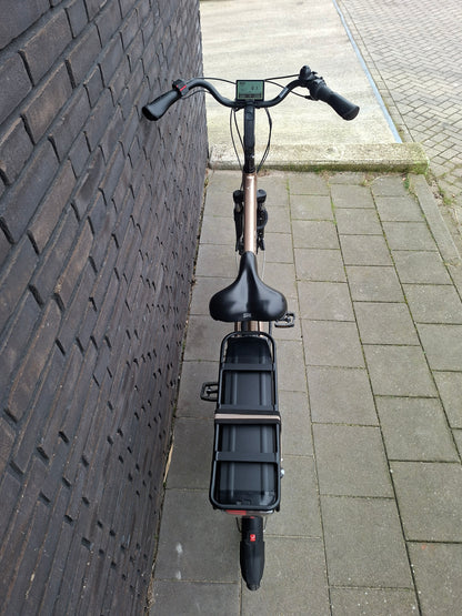 Stella Livorno Gold FDST (53)