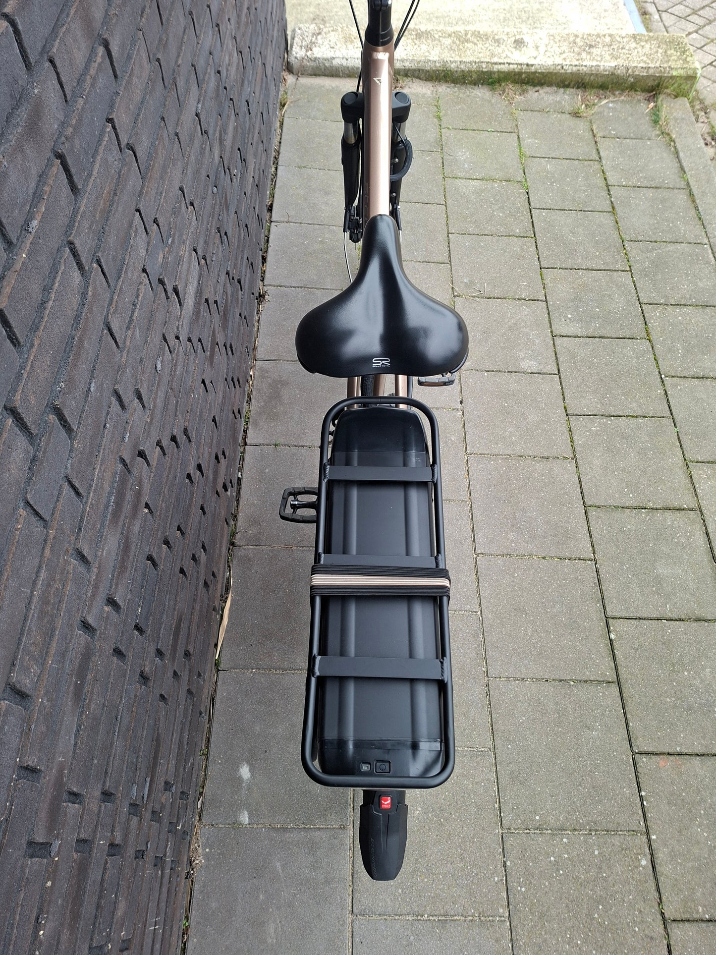 Stella Livorno Gold FDST (53)