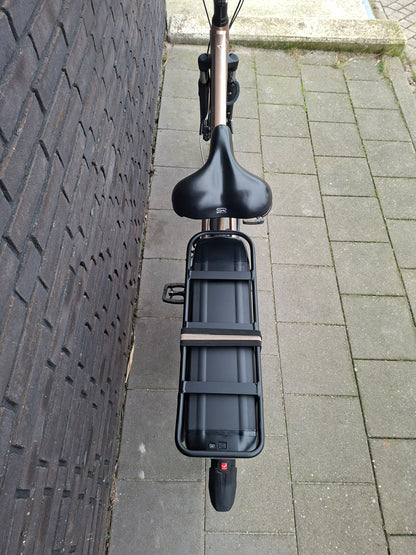 Stella Livorno Gold FDST (53)