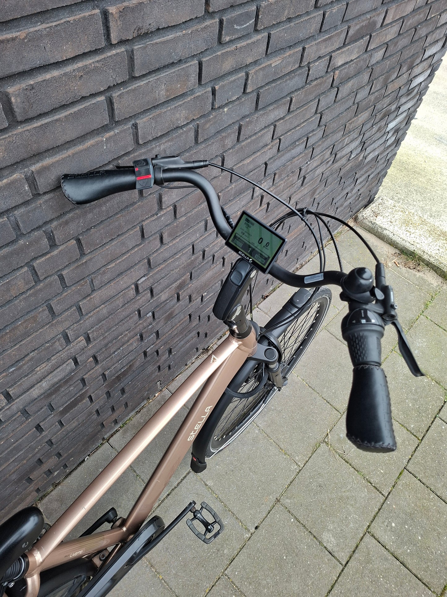 Stella Livorno Gold FDST (53)