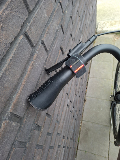 Stella Livorno Gold FDST (53)