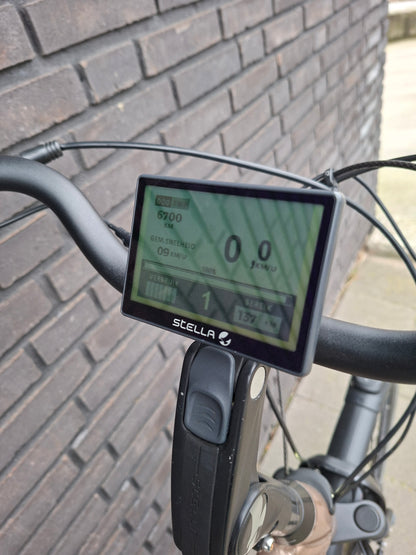 Stella Livorno Gold FDST (53)