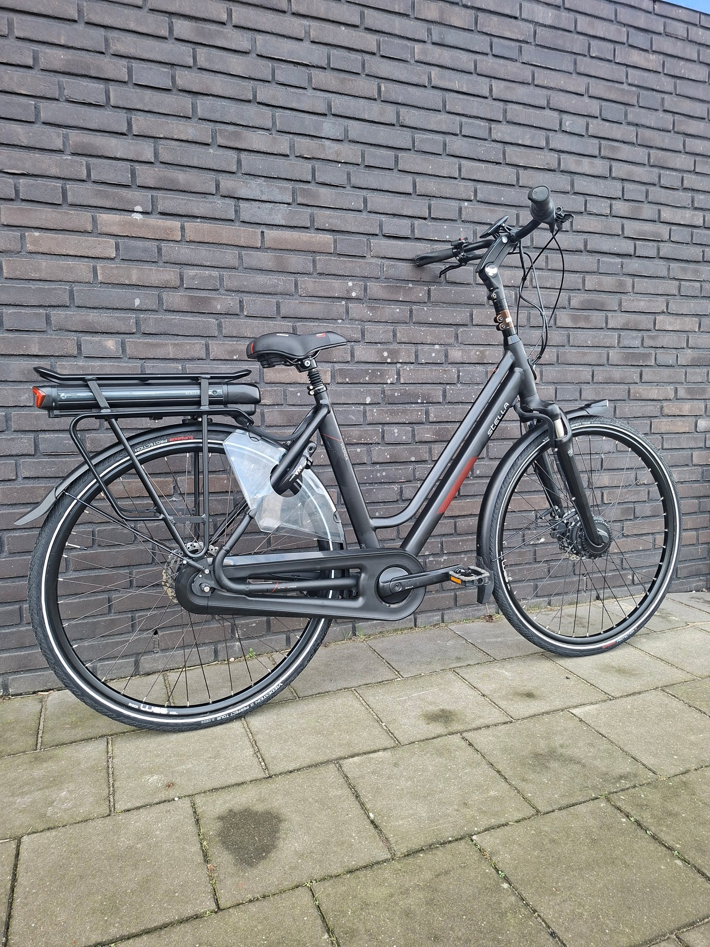 Stella Vicenza Superior FDST (53)