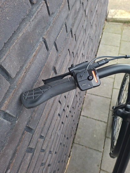 Stella Vicenza Superior FDST (53)