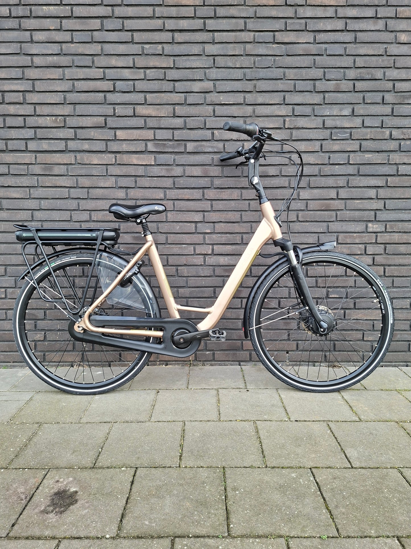 Stella Livorno Gold FDST (53)