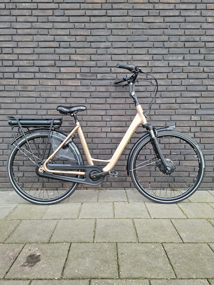 Stella Livorno Gold FDST (53)