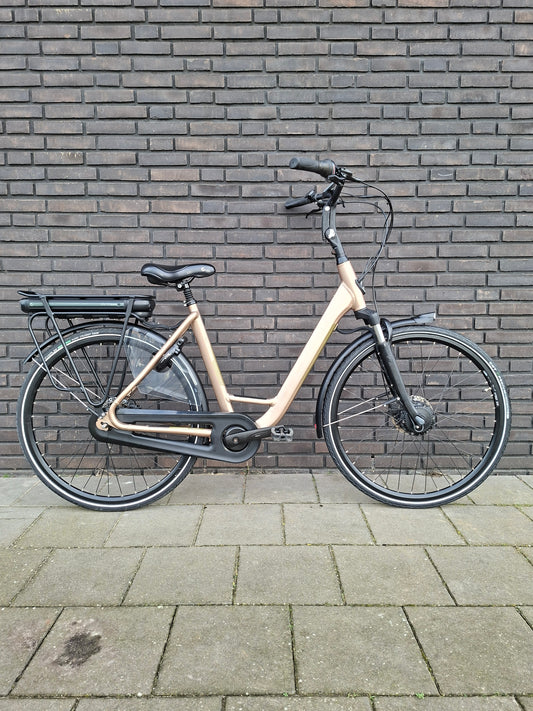 Stella Livorno Gold FDST (53)