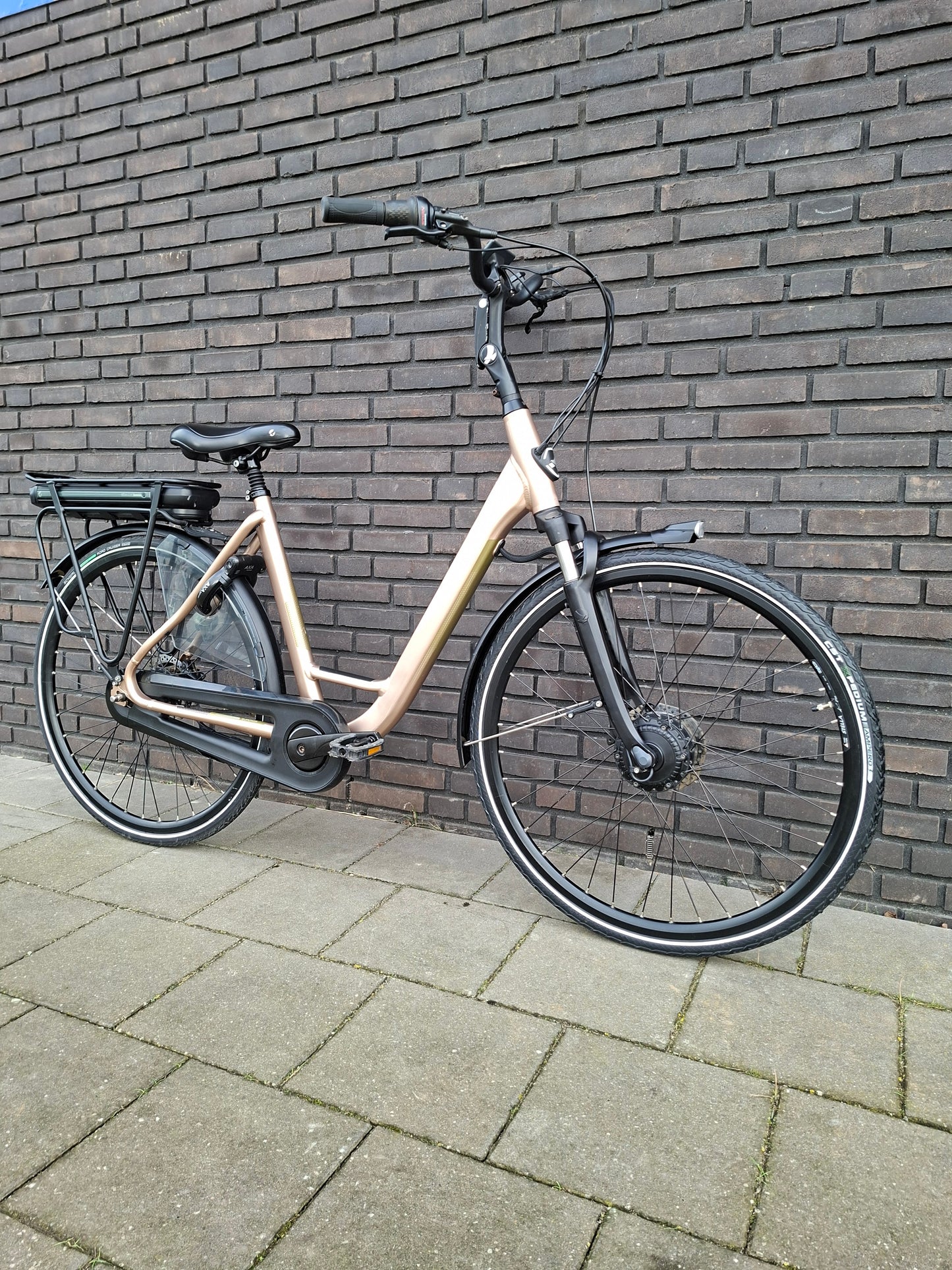 Stella Livorno Gold FDST (53)