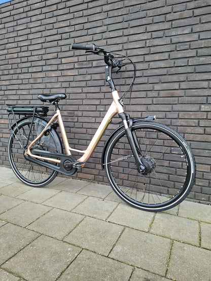 Stella Livorno Gold FDST (53)