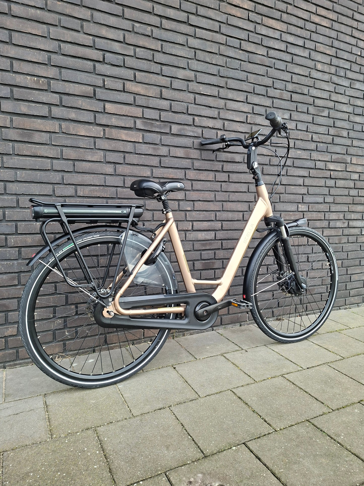 Stella Livorno Gold FDST (53)