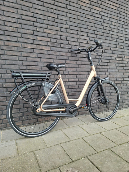 Stella Livorno Gold FDST (53)