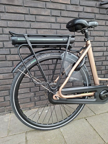 Stella Livorno Gold FDST (53)