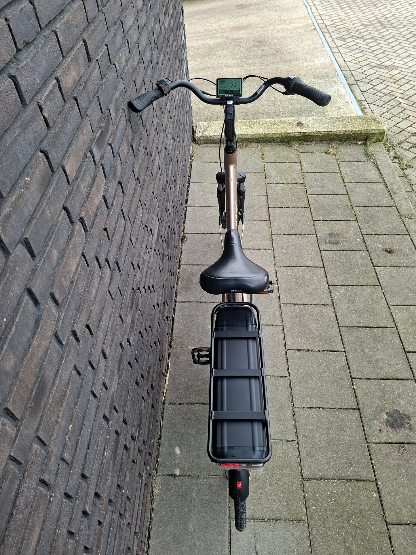 Stella Livorno Gold FDST (53)