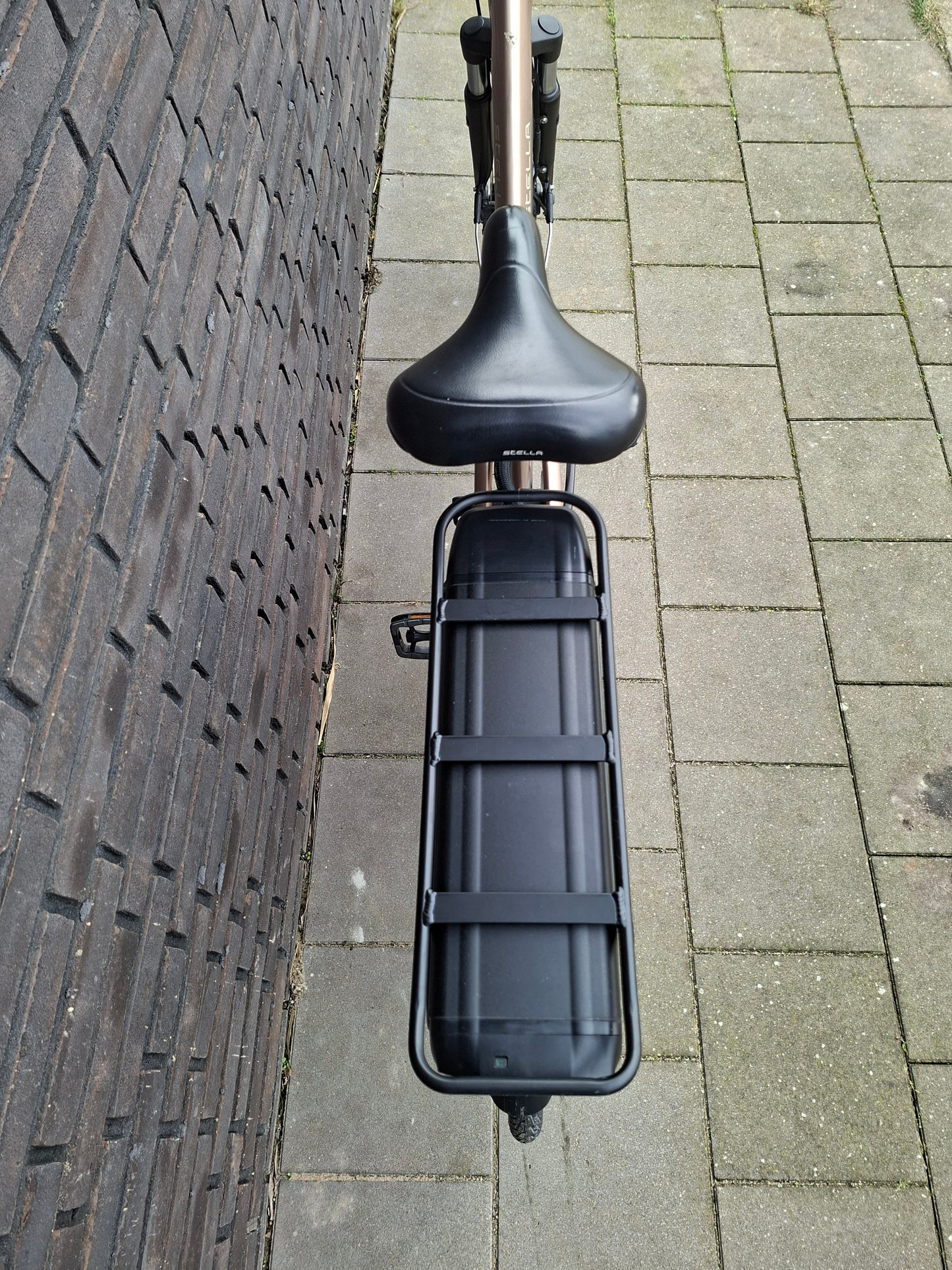 Stella Livorno Gold FDST (53)