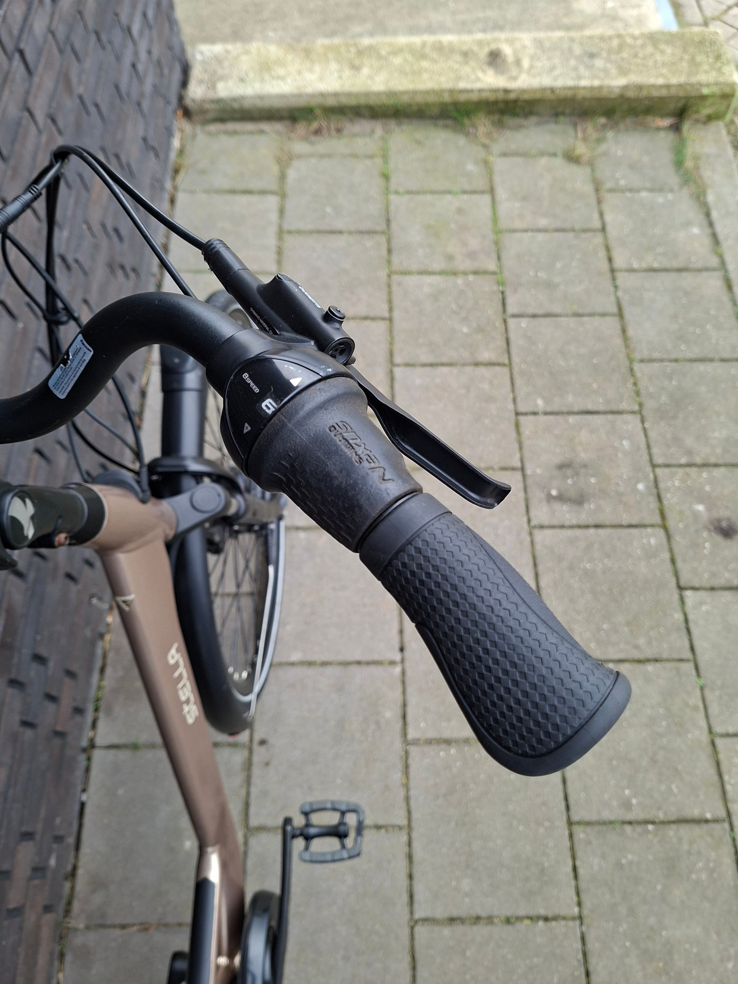 Stella Livorno Gold FDST (53)