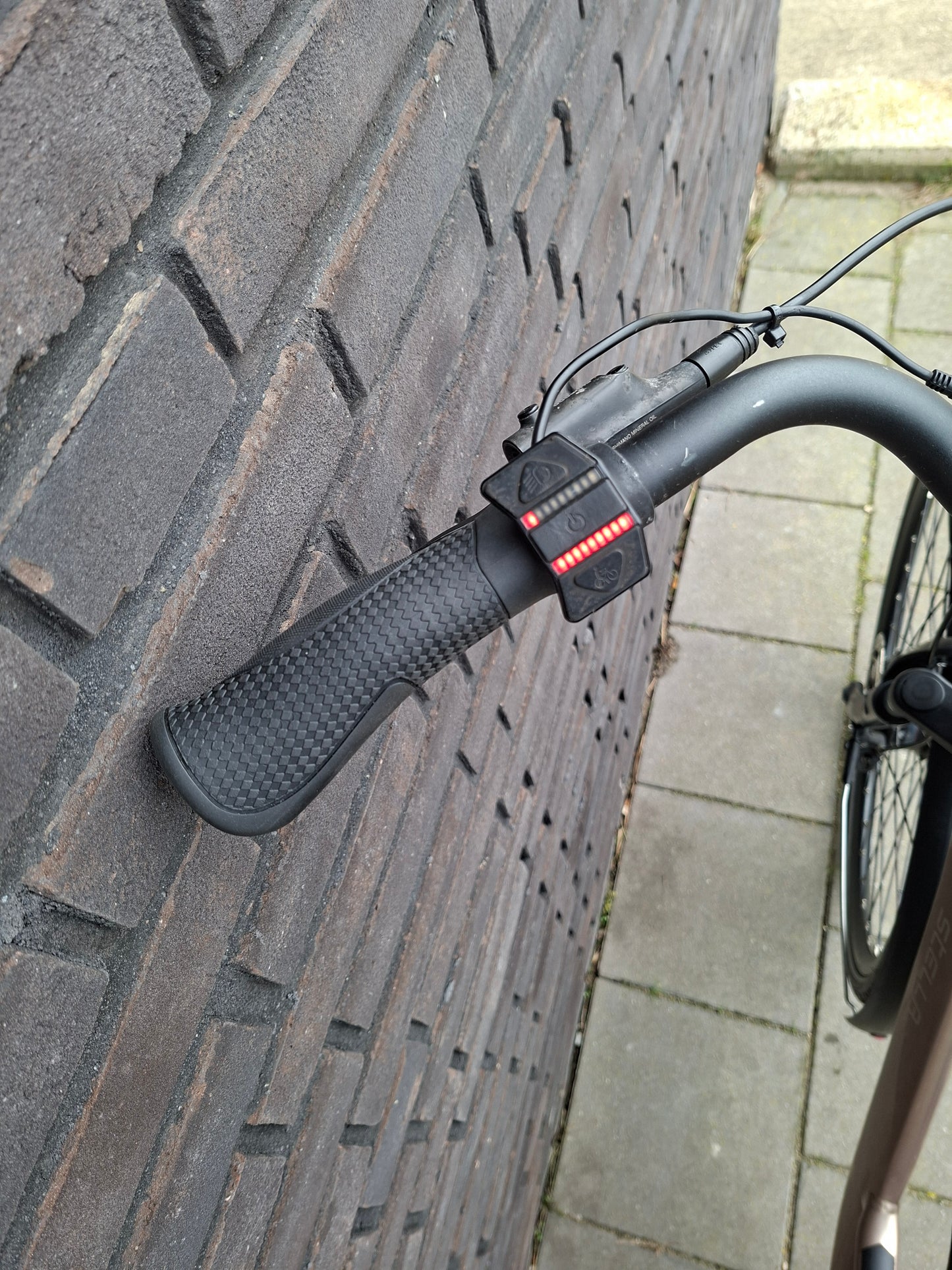 Stella Livorno Gold FDST (53)