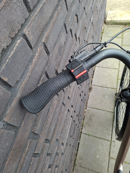 Stella Livorno Gold FDST (53)