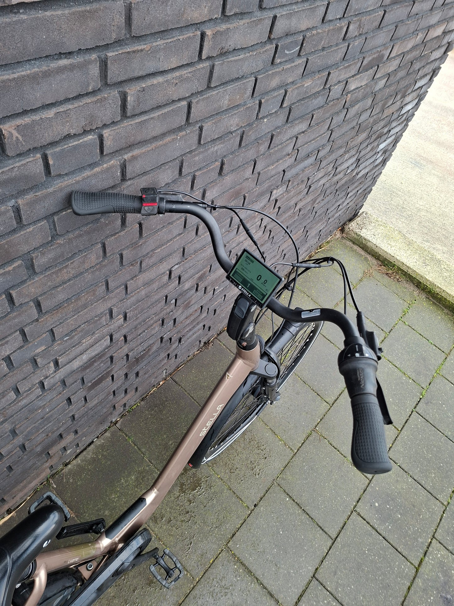 Stella Livorno Gold FDST (53)