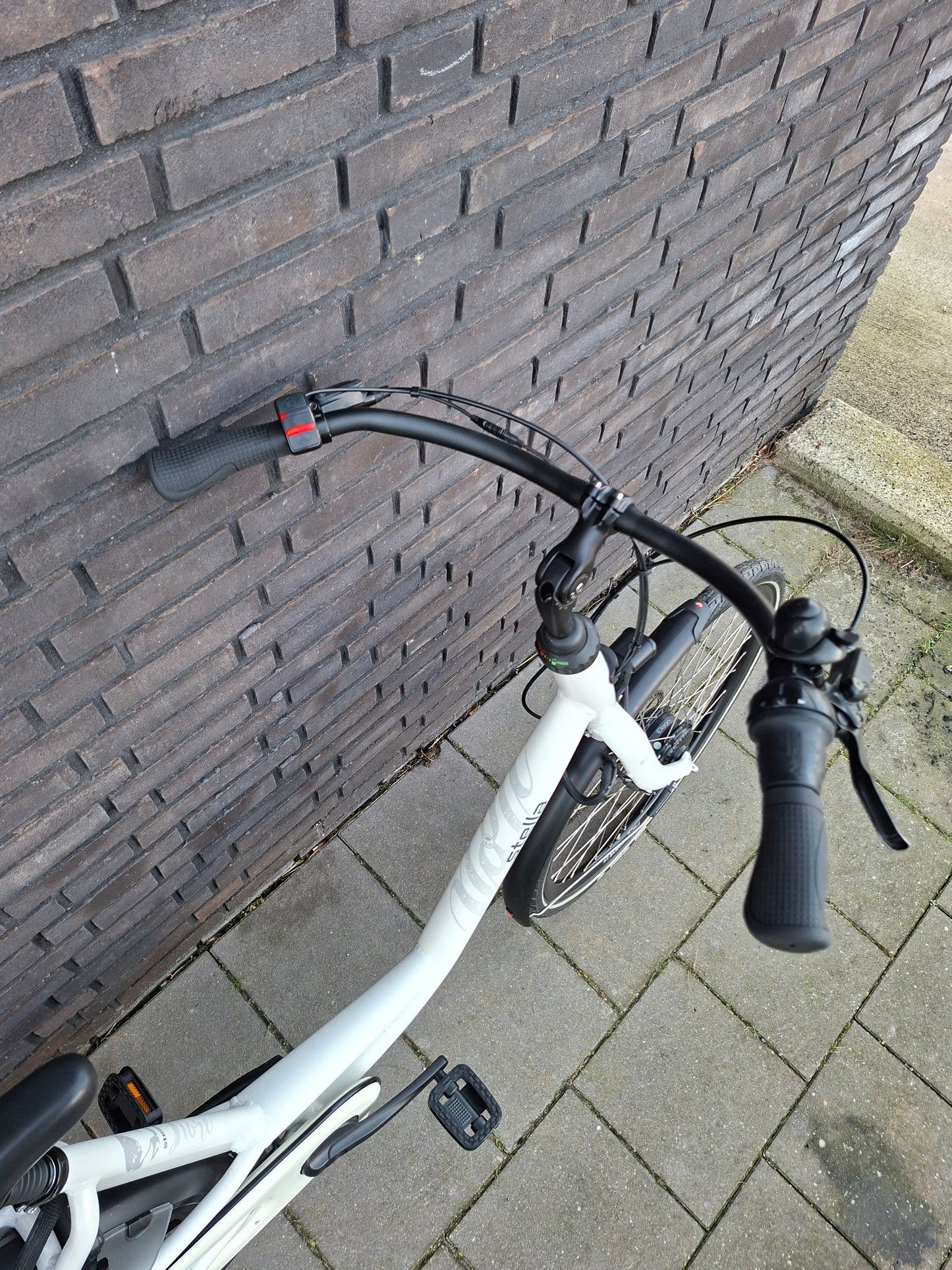 Stella Fiore Superior FDST (53)