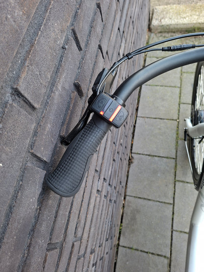 Stella Fiore Superior FDST (53)