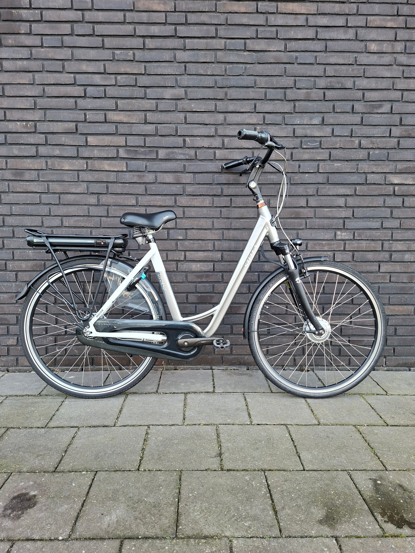 Stella Livorno Grey White FDST (53)