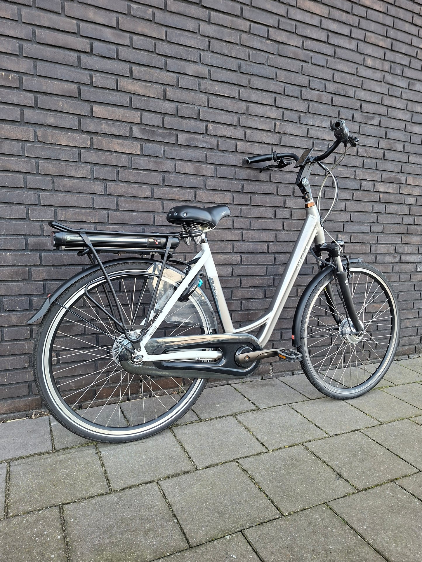 Stella Livorno Grey White FDST (53)