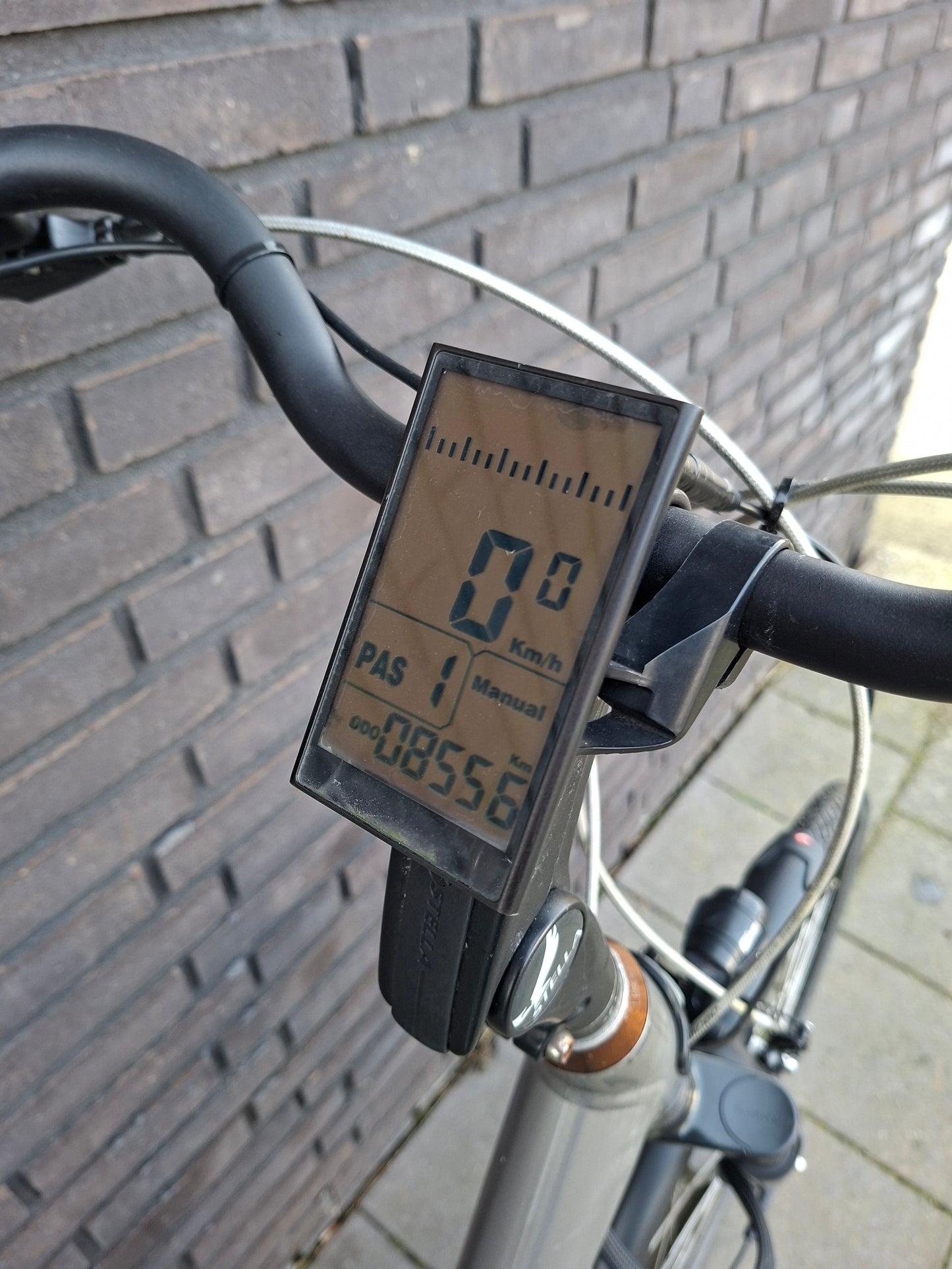 Stella Livorno Grey White FDST (53)