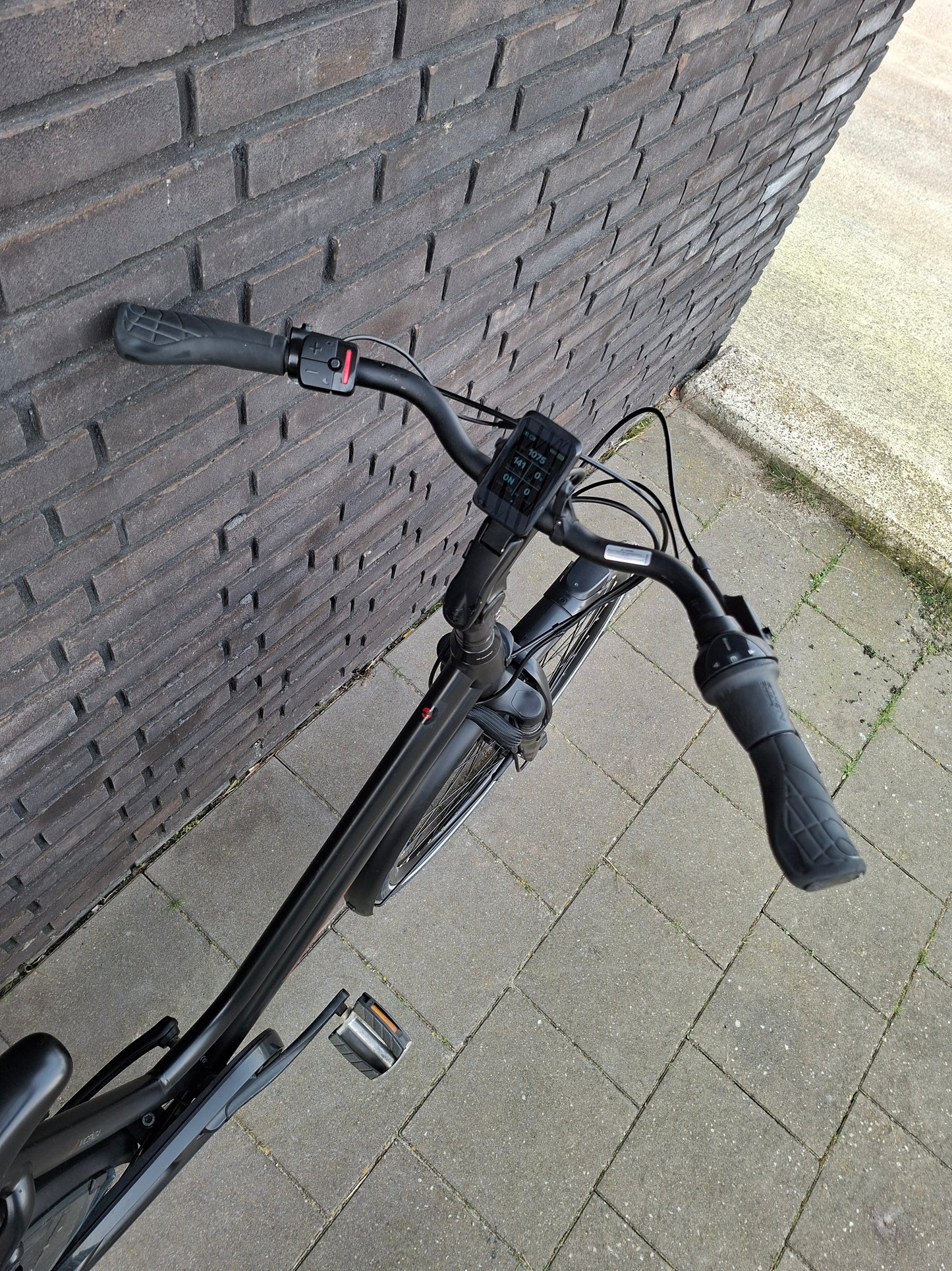 Stella Vicenza Superior FDST (53)