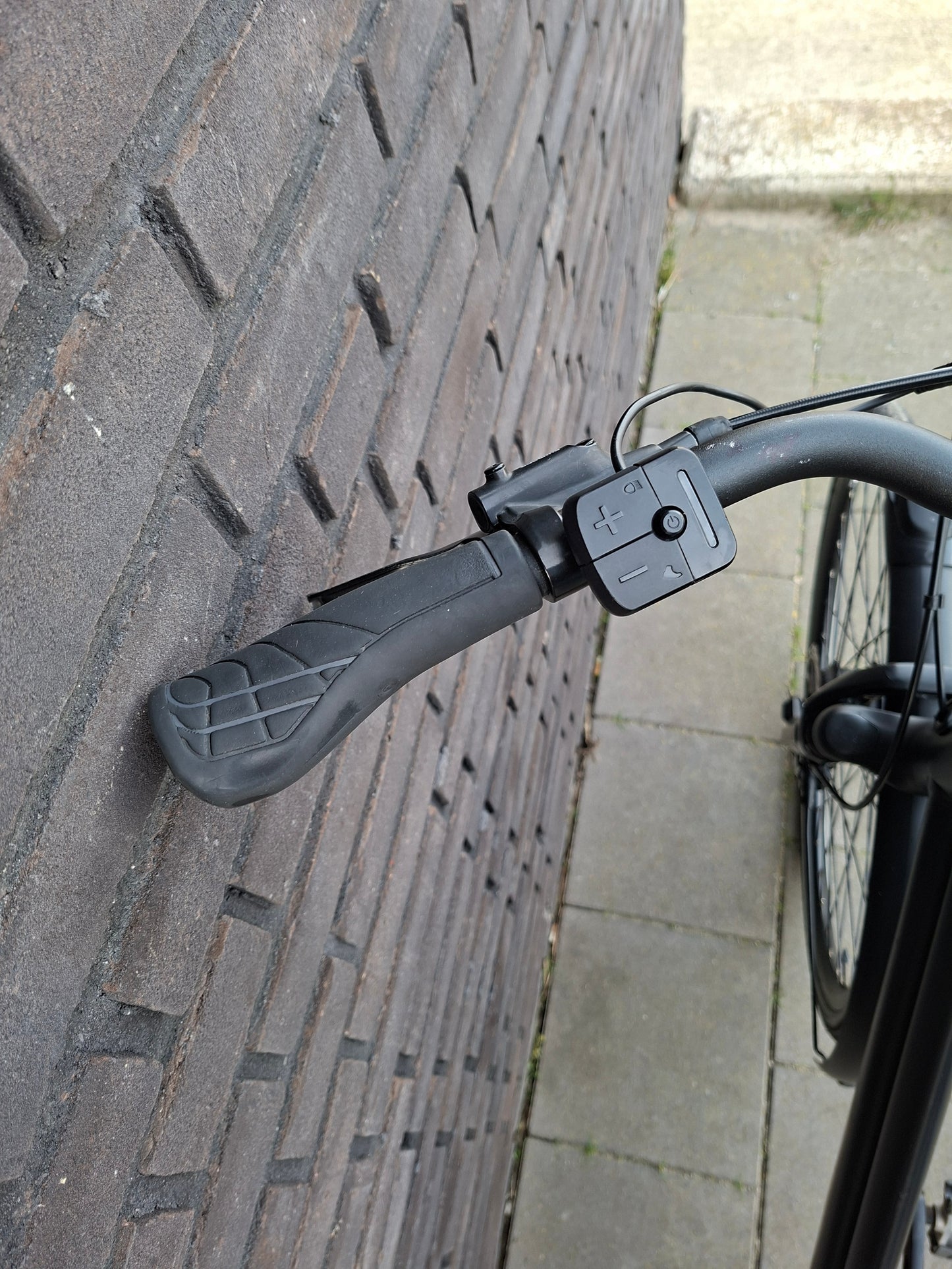 Stella Vicenza Superior FDST (53)