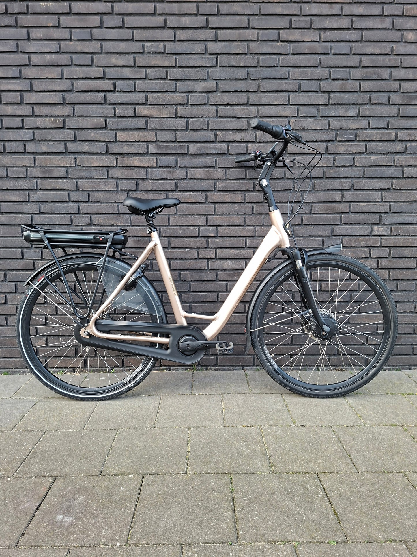 Stella Livorno Gold FDST (57)