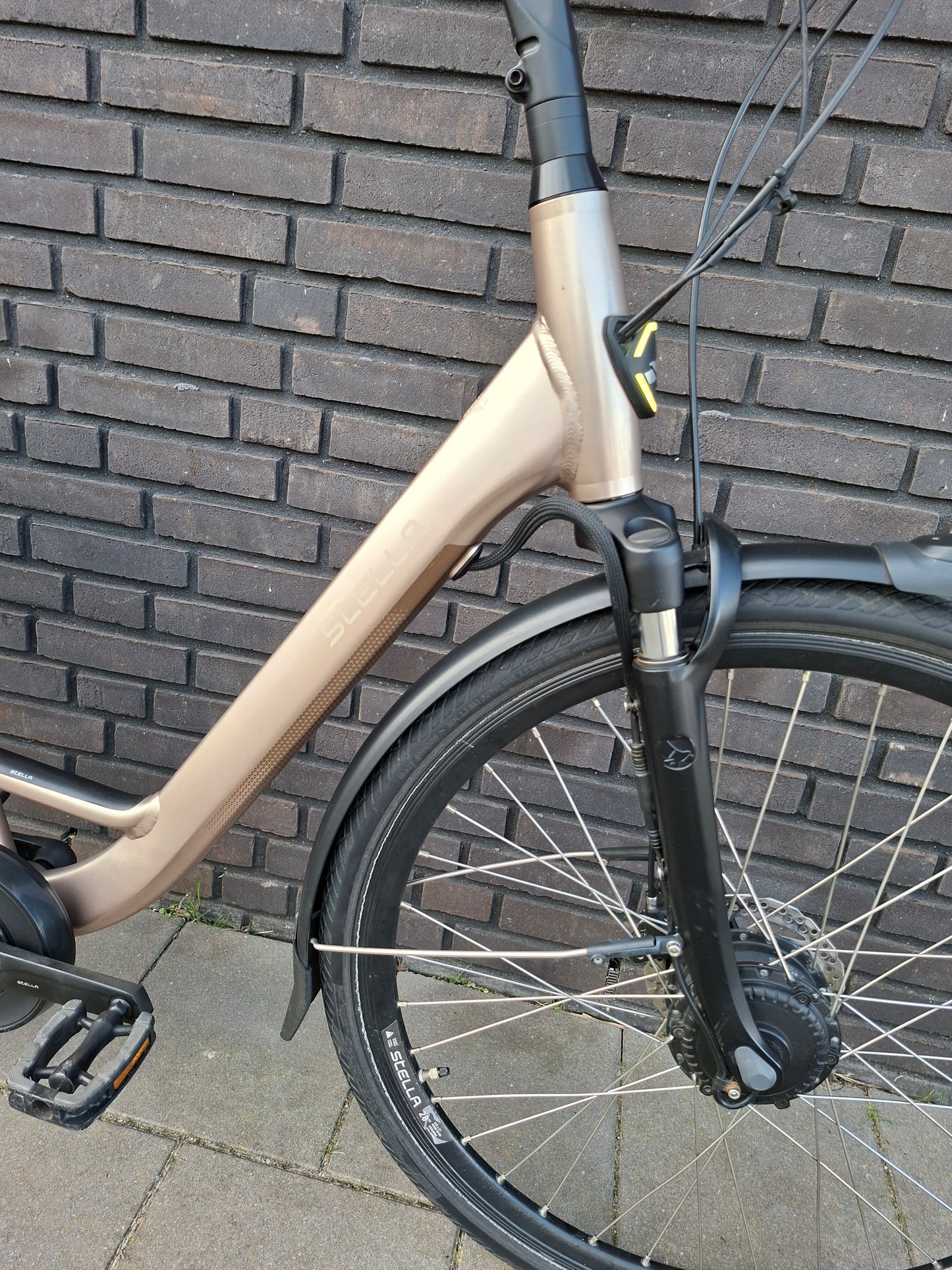 Stella Livorno Gold FDST (57)