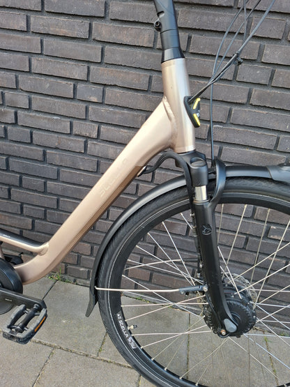 Stella Livorno Gold FDST (57)