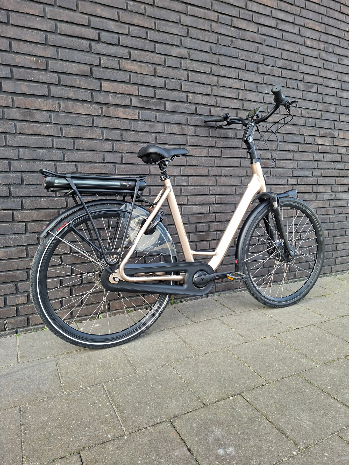 Stella Livorno Gold FDST (57)