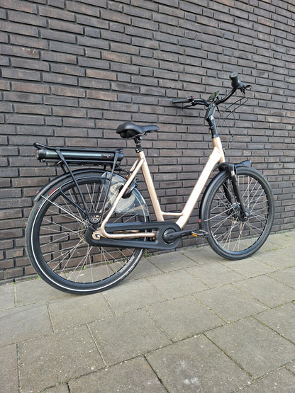 Stella Livorno Gold FDST (57)