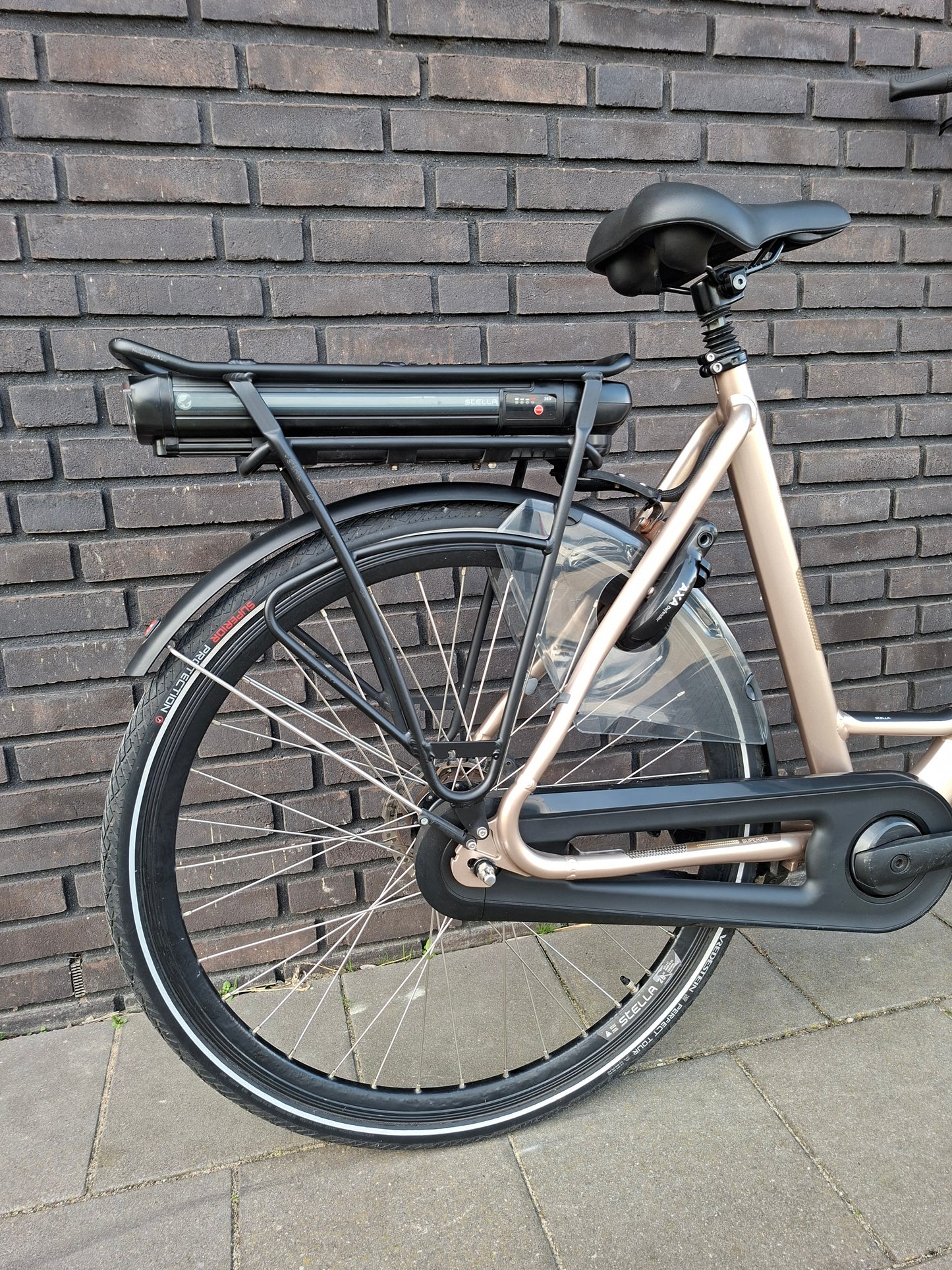 Stella Livorno Gold FDST (57)