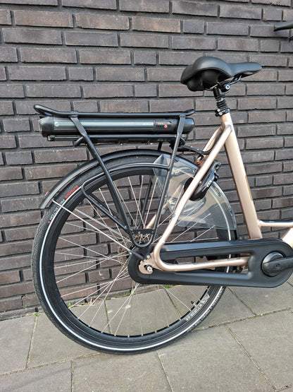 Stella Livorno Gold FDST (57)