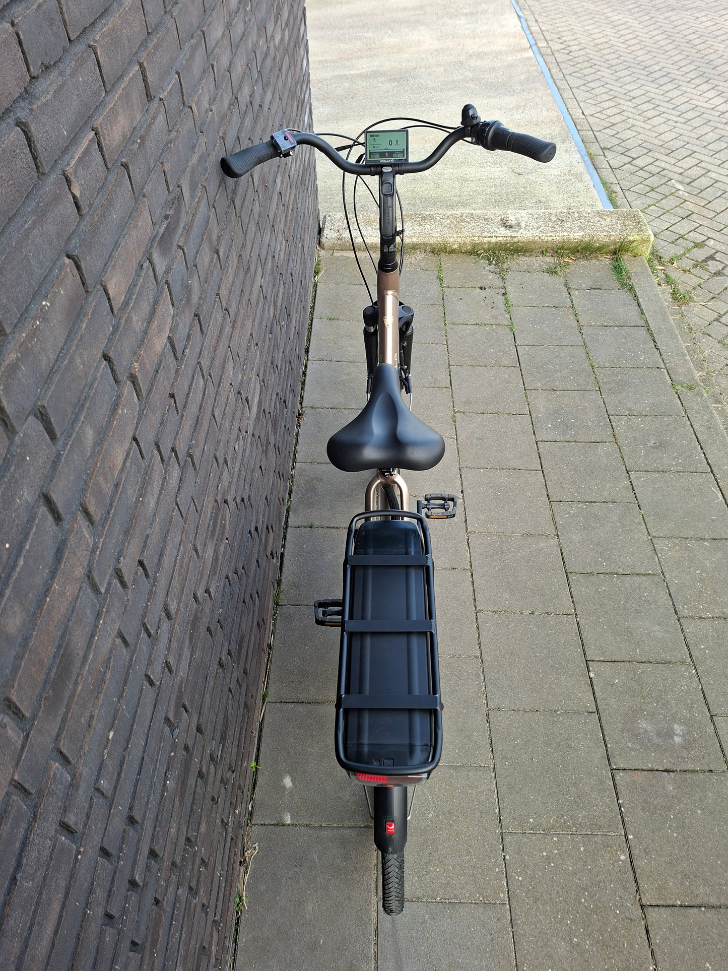 Stella Livorno Gold FDST (57)