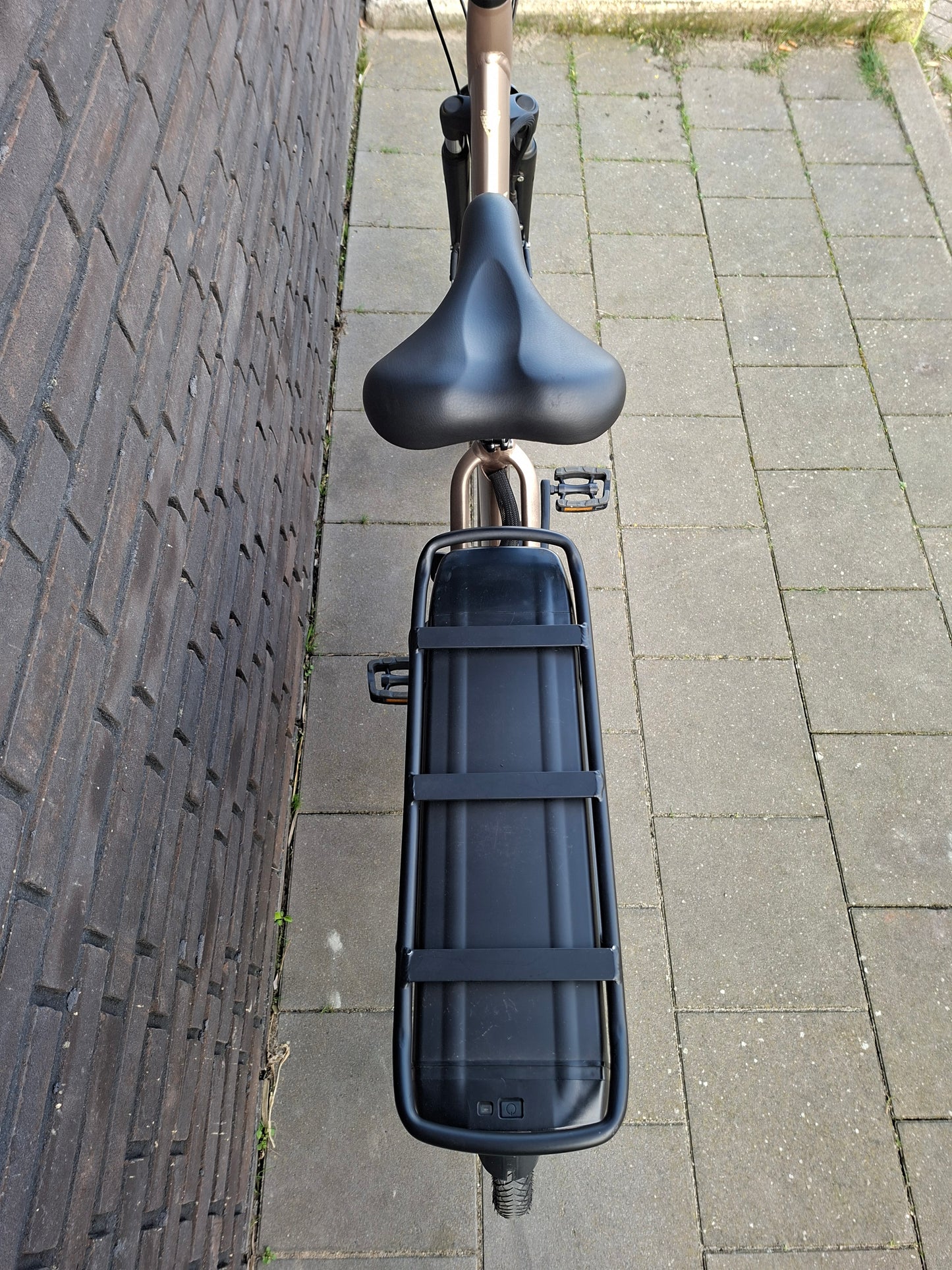 Stella Livorno Gold FDST (57)