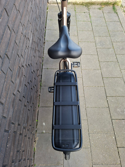 Stella Livorno Gold FDST (57)