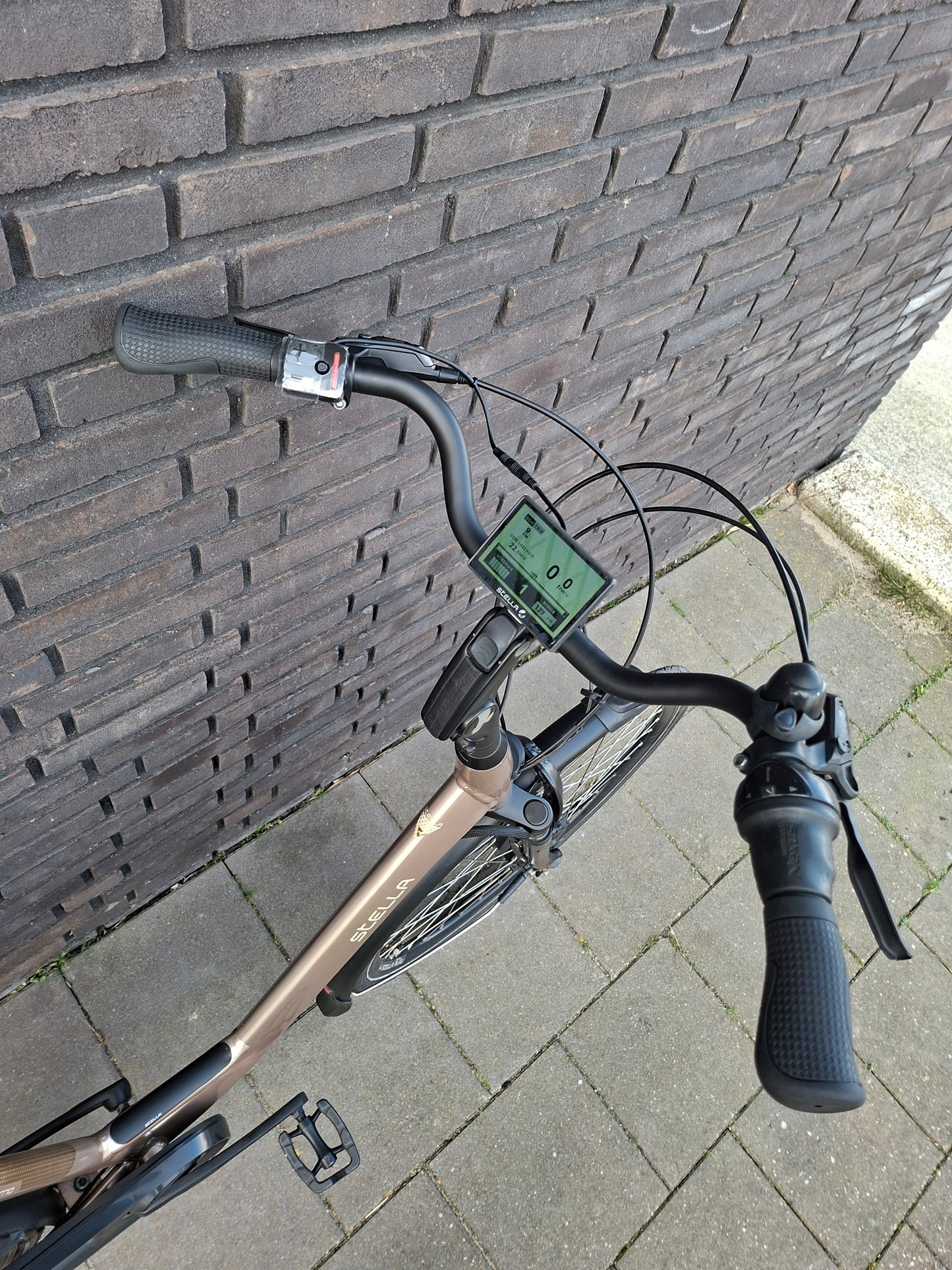 Stella Livorno Gold FDST (57)