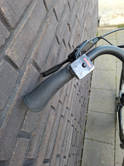 Stella Livorno Gold FDST (57)