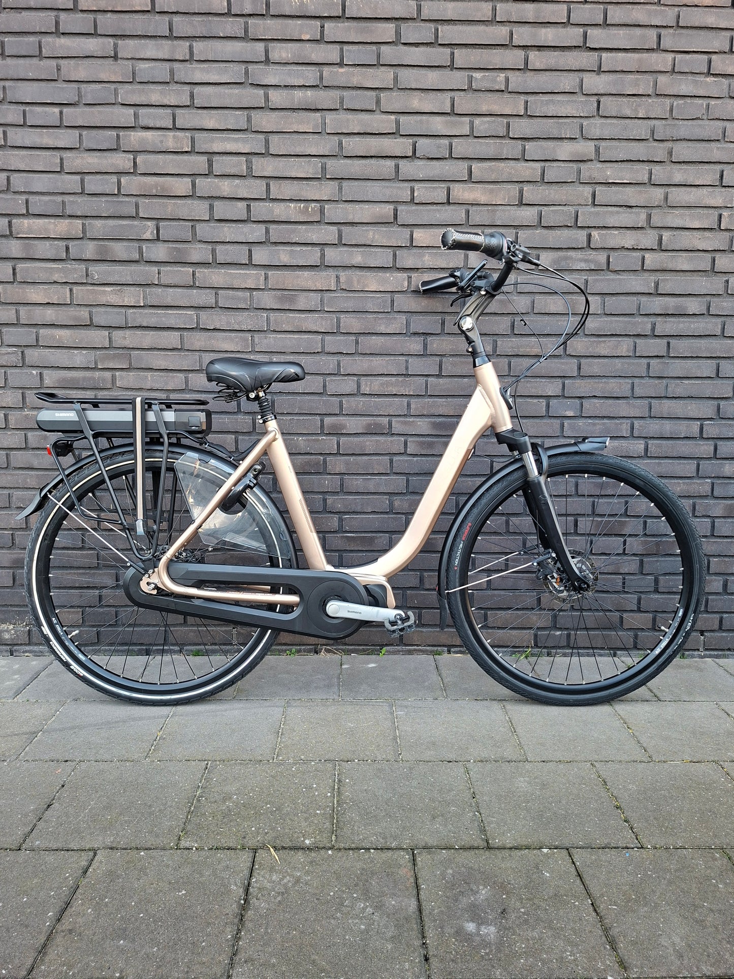 Stella Livorno Gold MDS (53)